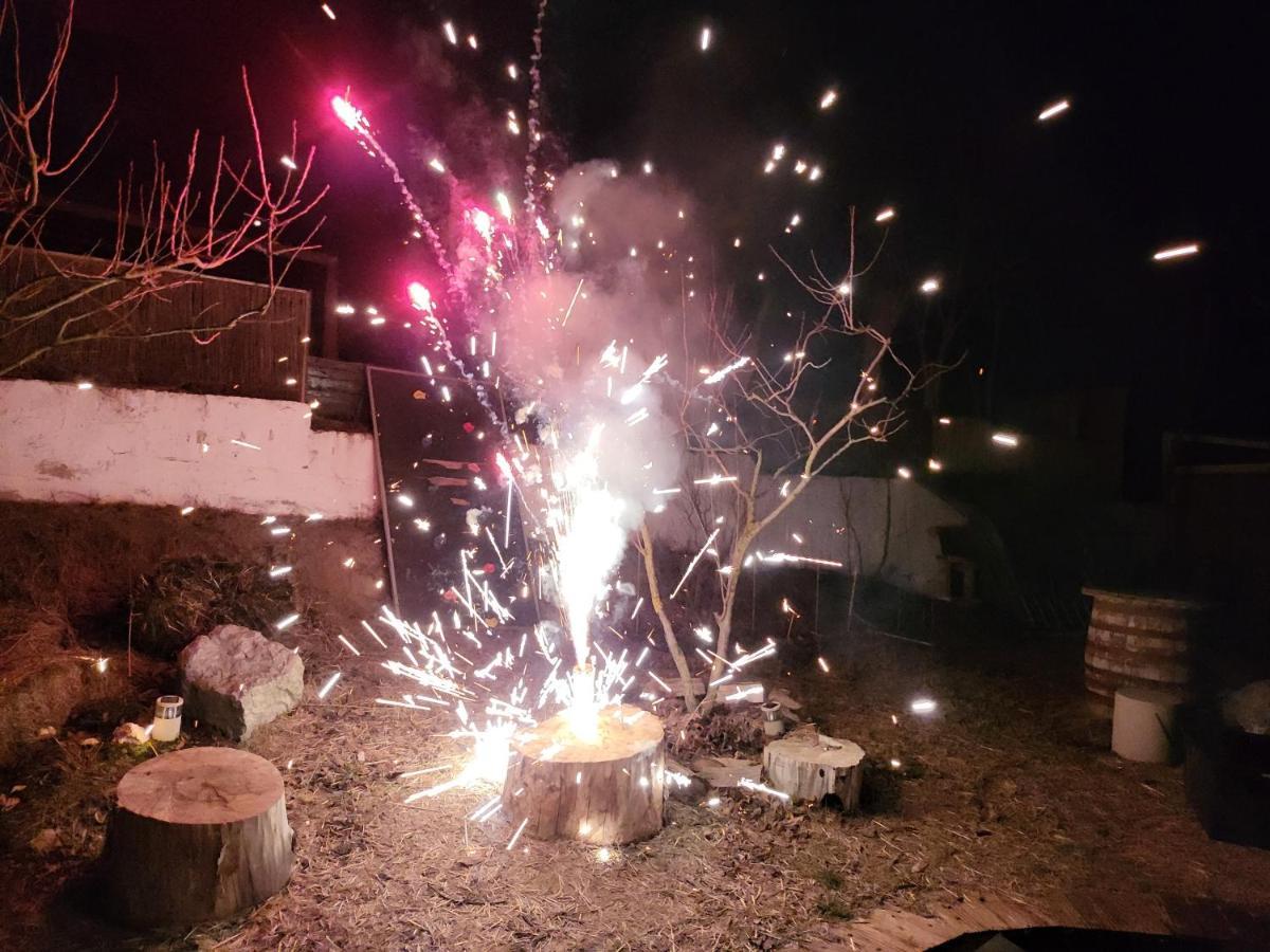 Pensiunea 4 Salcii Băltenii de Sus Exterior foto