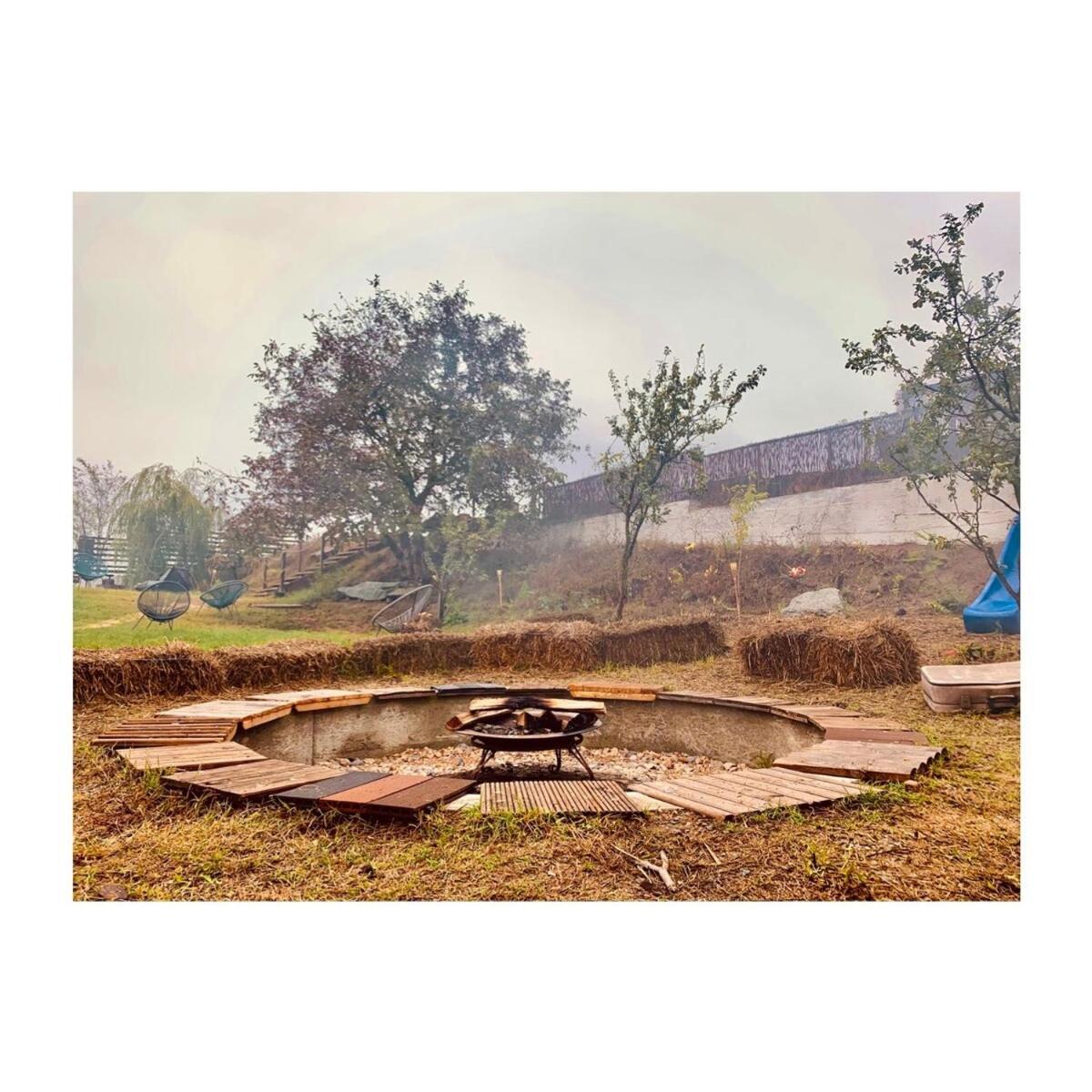 Pensiunea 4 Salcii Băltenii de Sus Exterior foto